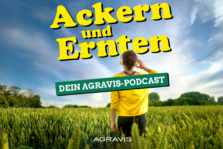 Cover Podcast Ackern und Ernten