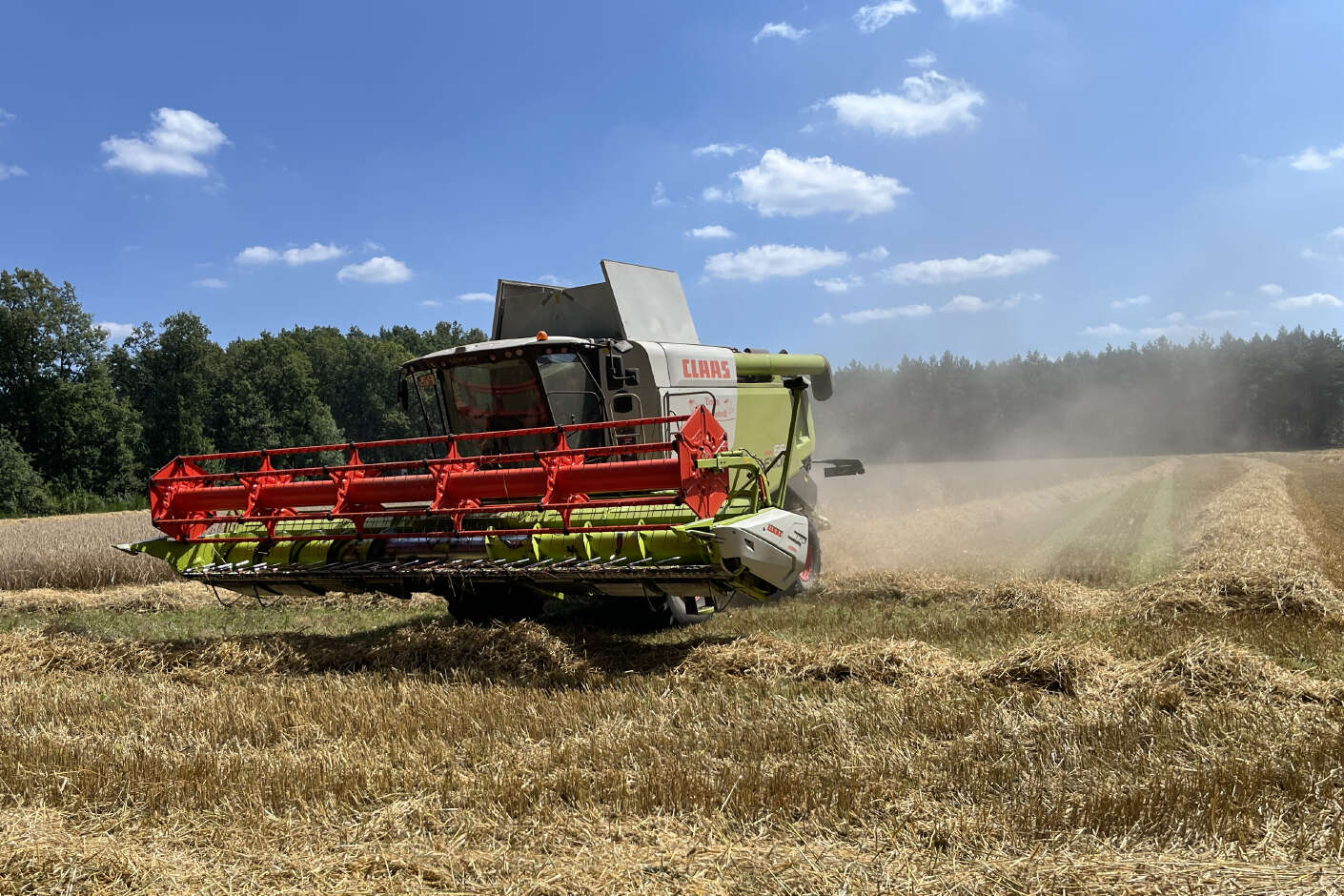 Gerstenernte mit Claas-Drescher auf Feld der AGRAVIS Future Farm