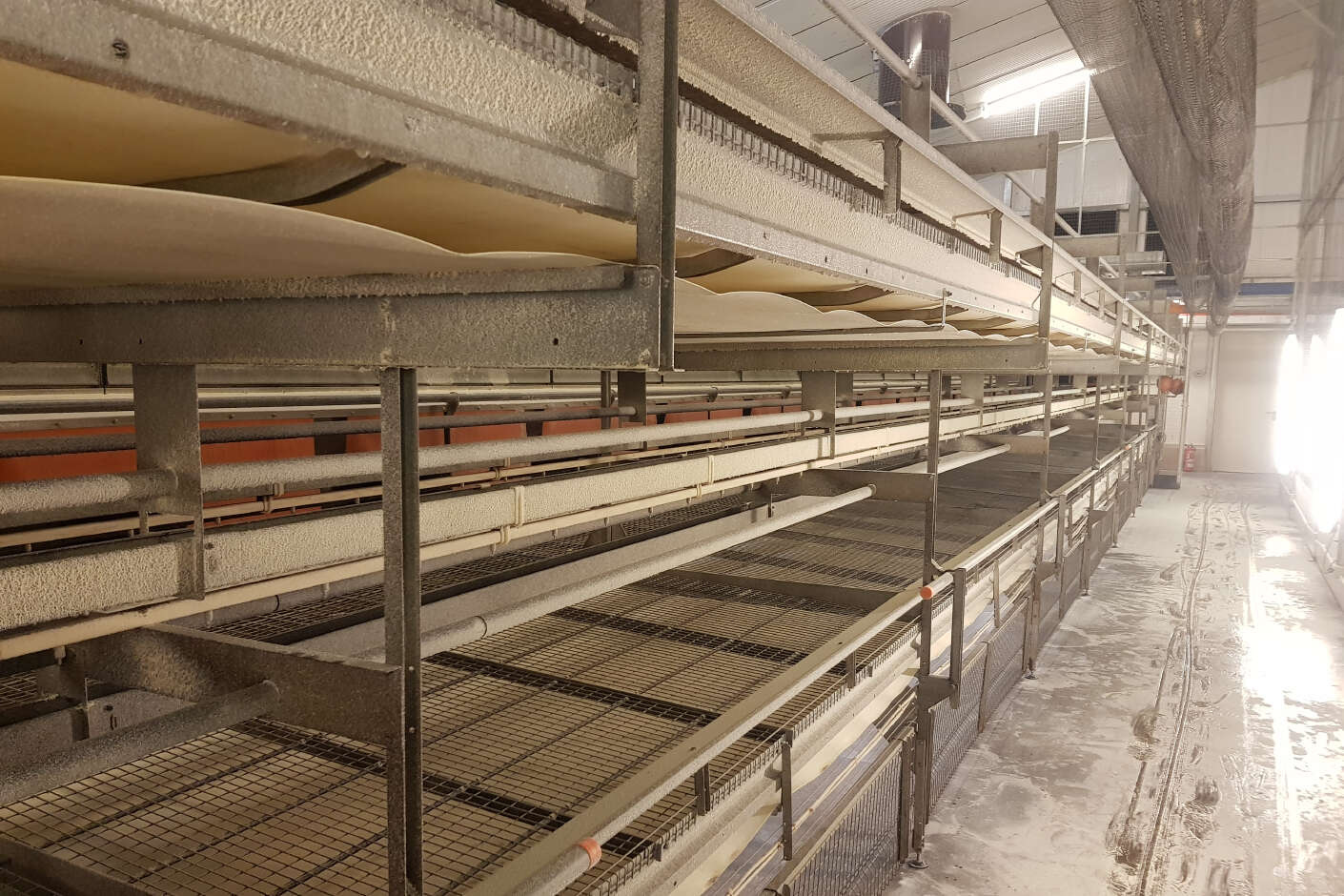 Ein leerer Geflügelstall wurde mit Desintec M-Ex Profi 80 behandelt.