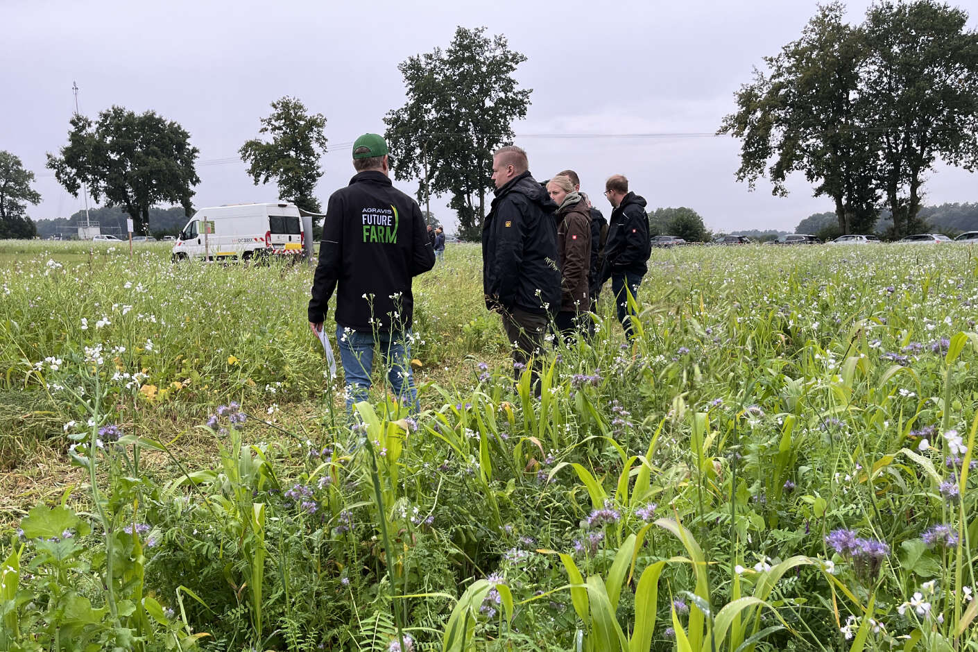 Besuchergruppe auf Versuchsfläche der AGRAVIS Future Farm mit Zwischenfrüchten in Direktsaat