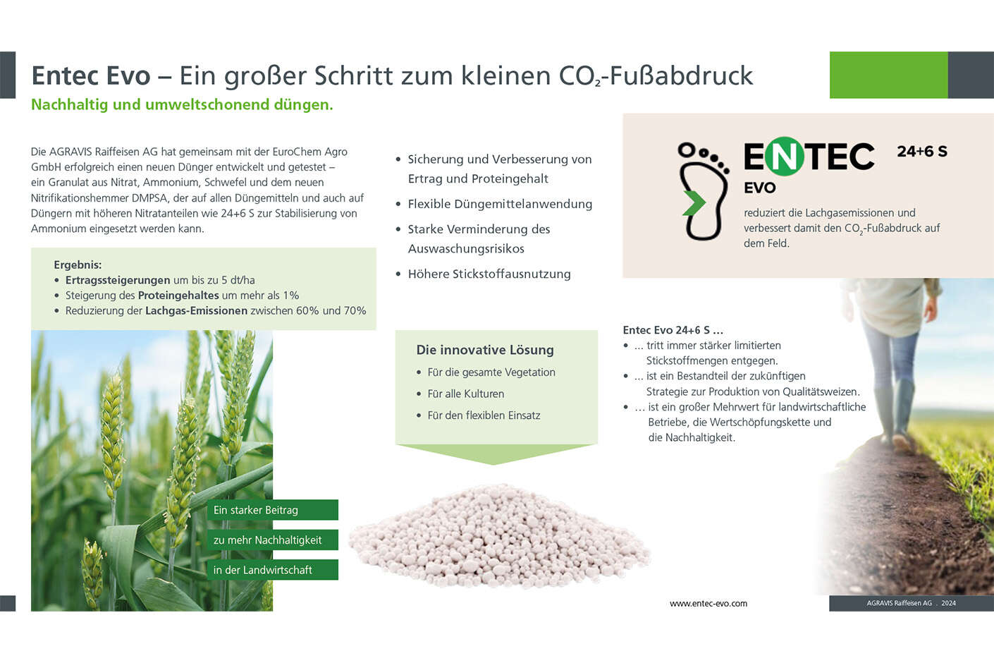 welchen dnger brauchen hanfpflanzen Calcium und Silizium