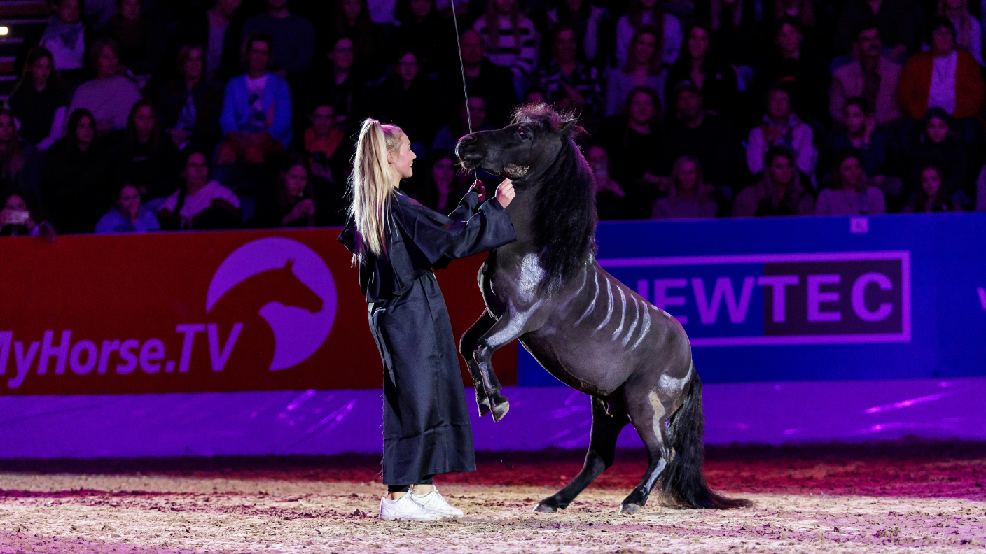 AGRAVIS-Cup Oldenburg 2024