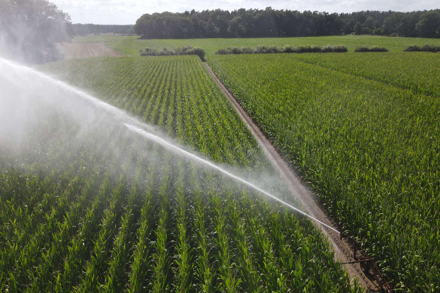 Beregnung im Mais-Versuchsfeld der AGRAVIS Future Farm