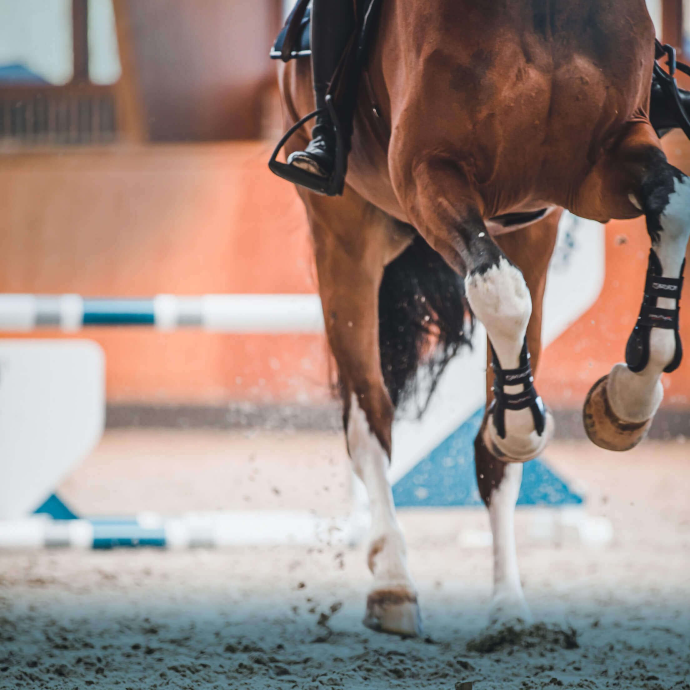 derbymed produkte sport einstiegsbild
