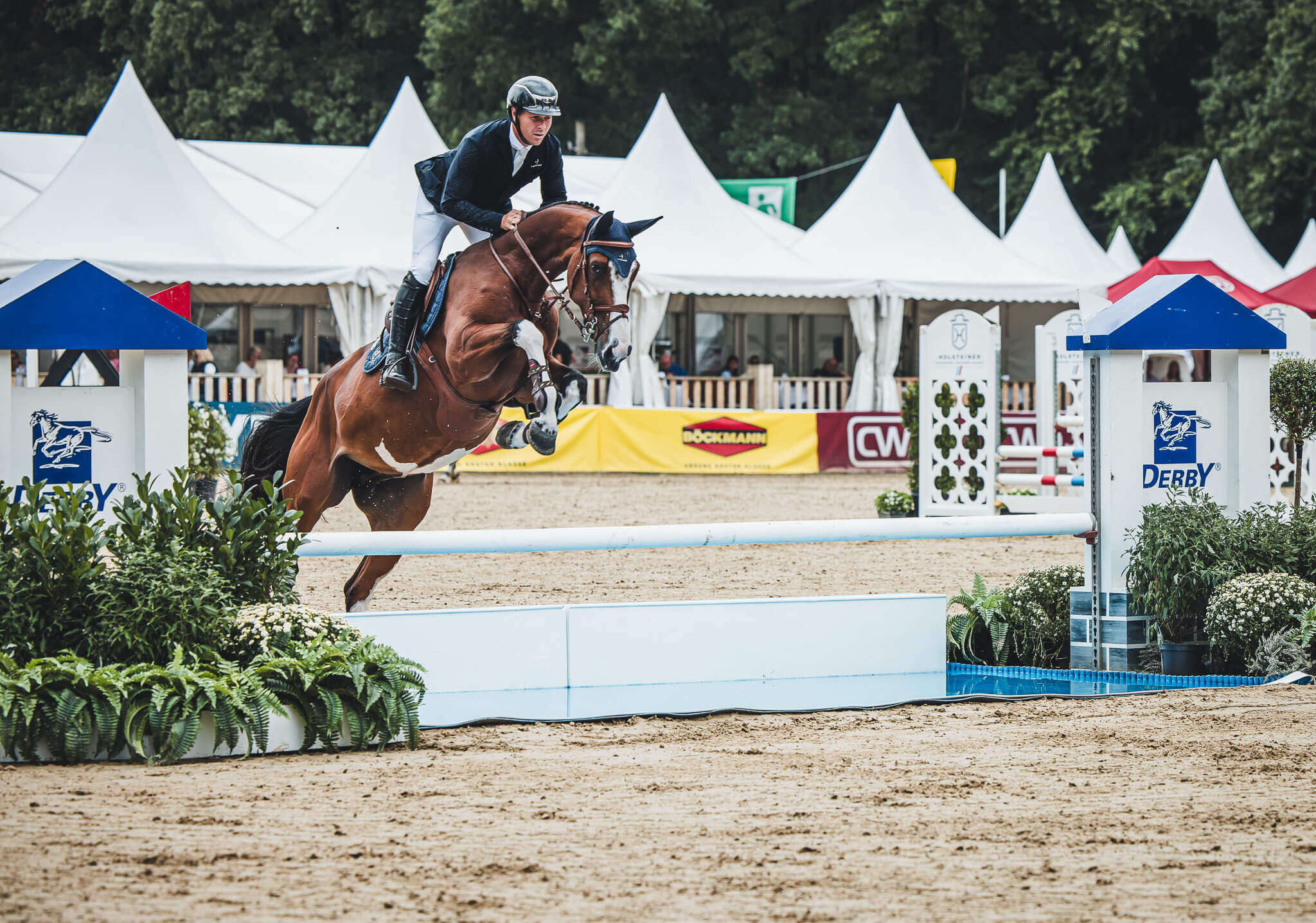 derbymed vw team david will