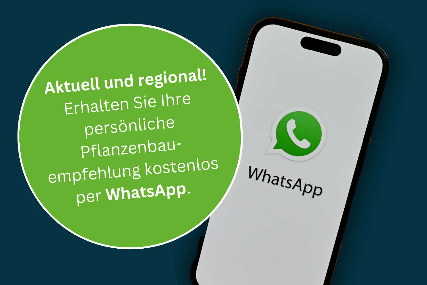 Smartphone mit WhatsApp-Logo und grünem Kreis: Pflanzenbauempfehlung kostenlos per WhatsApp