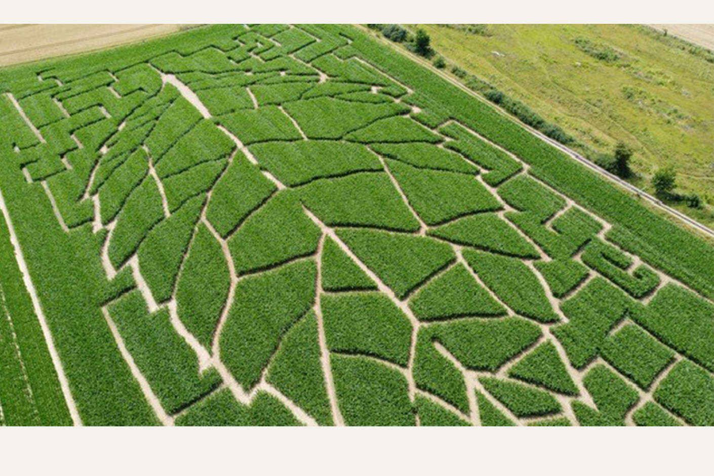 Raiffeisen NetFarming Wappen