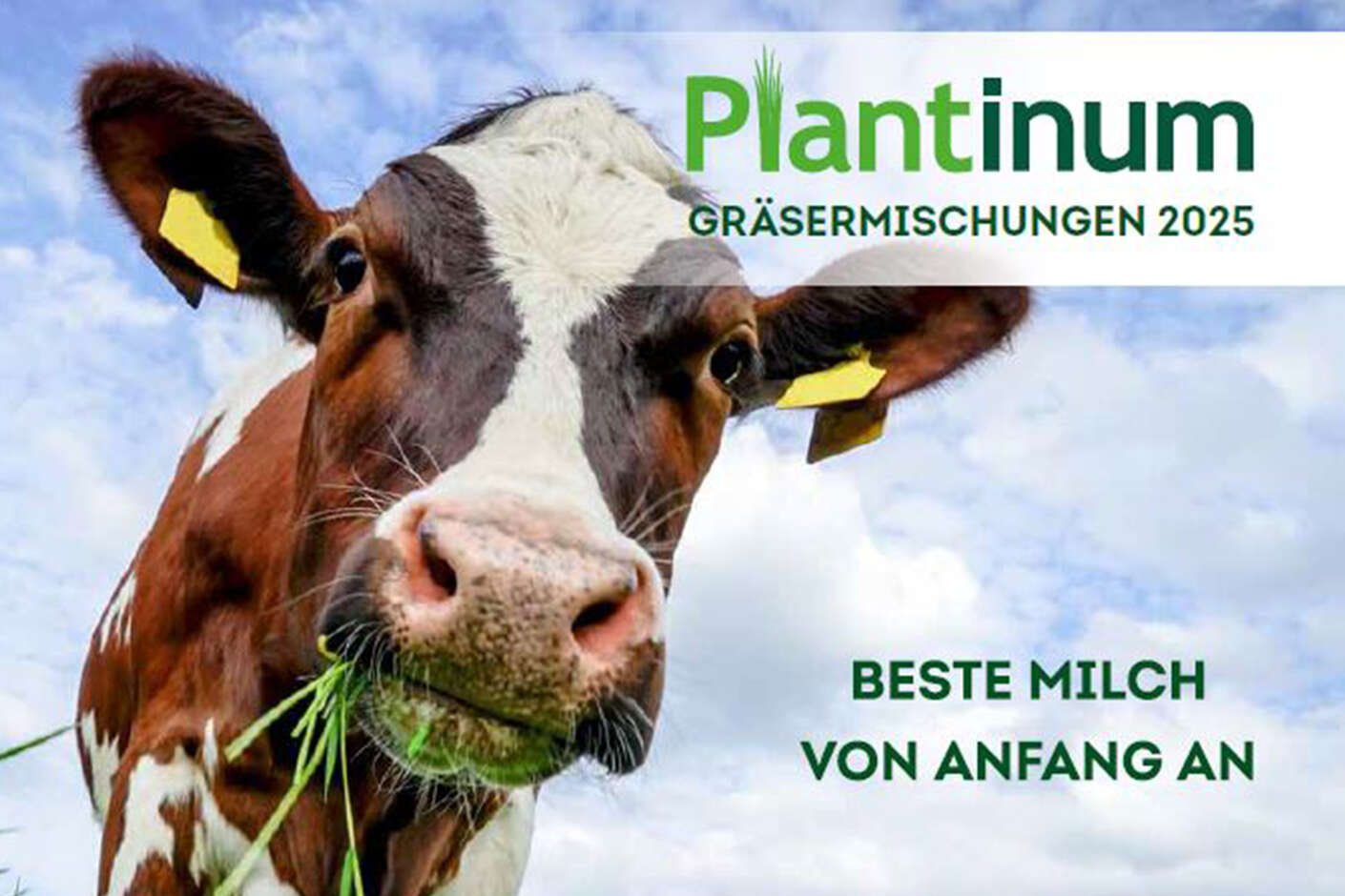 Broschürencover Plantinum Gräsermischungen 2025