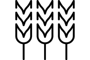 Icon - AGRAVIS-Geschäftsfeld Pflanzenbau, drei Getreideähren