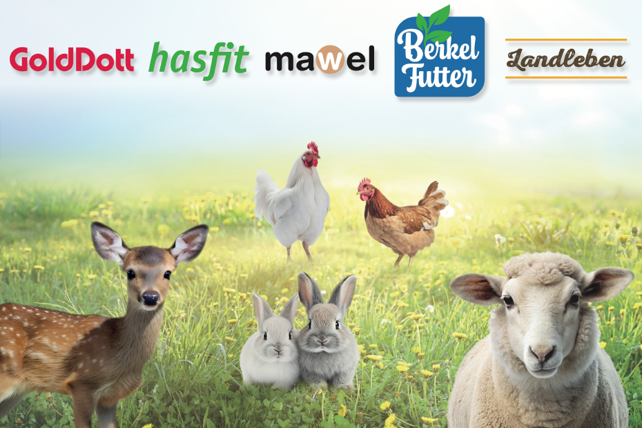 Fachtagung für Kaninchen, Geflügel, Rotwild, Schafed, 