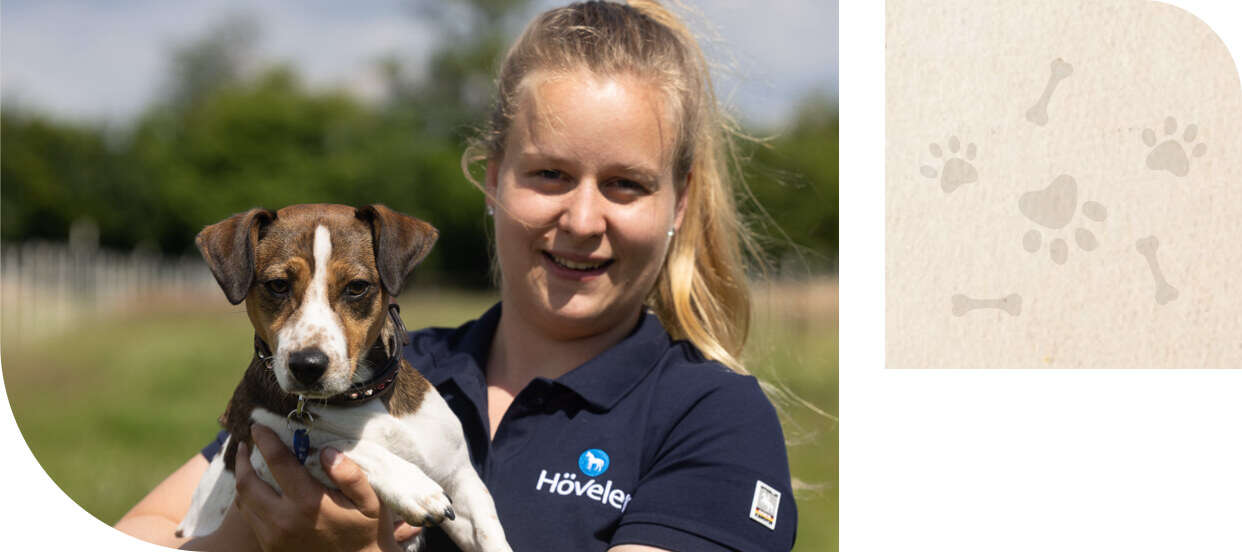 hoeveler dog kontakt beratung anna