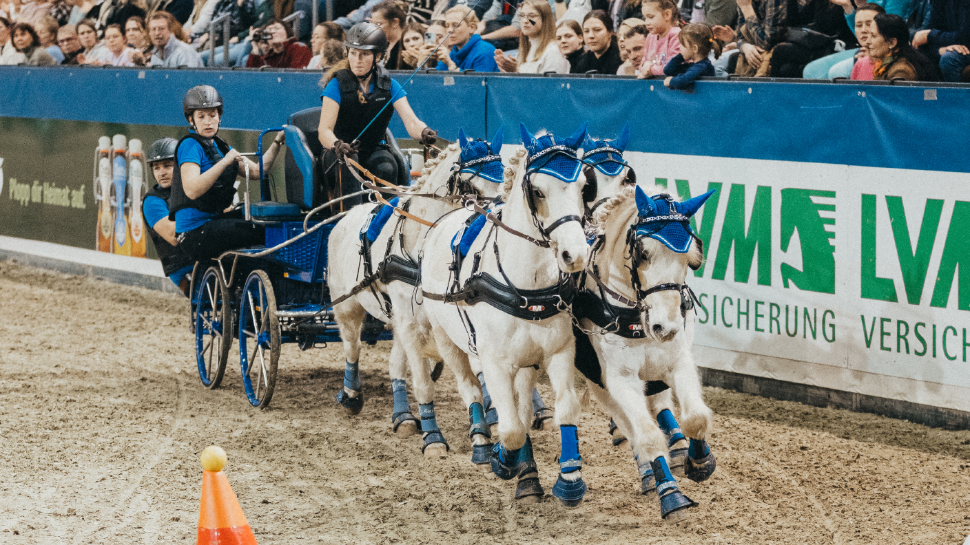 Kutsche mit Vierer-Gespann fährt im Parcours durch Kurve