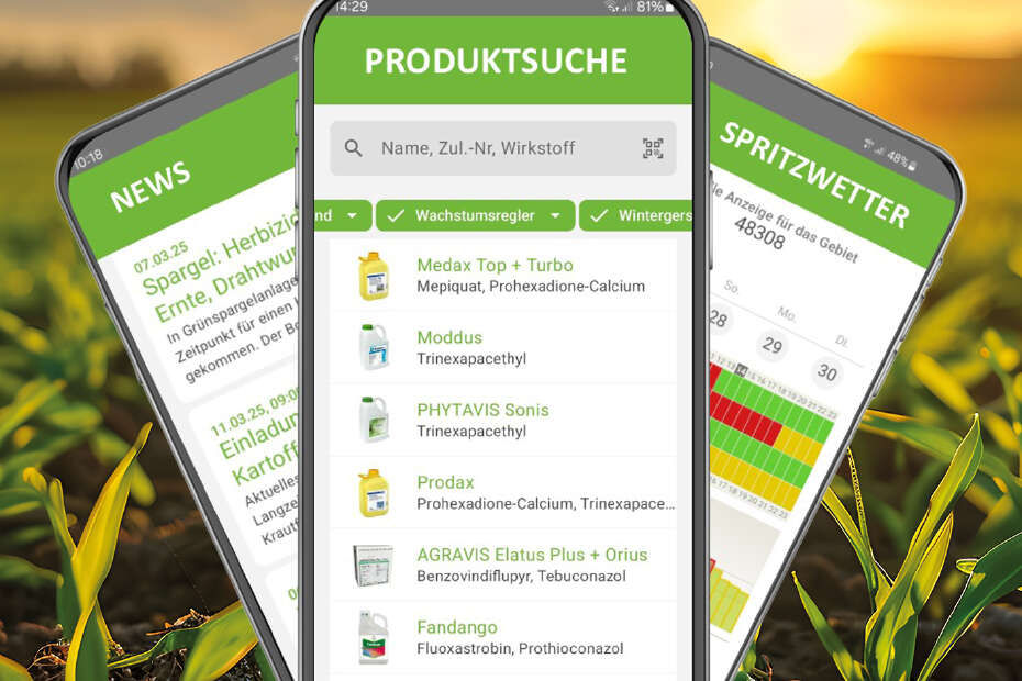 Drei Smartphones vor einem Feld, auf denen der IQ-Plant App-Bildschirm zu sehen ist.