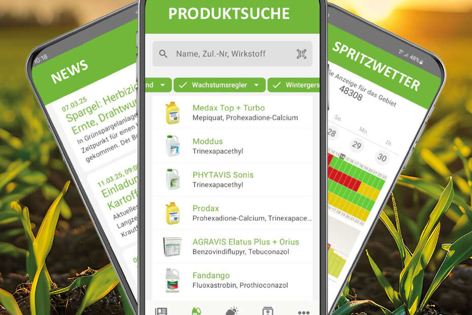 Drei Smartphones vor einem Feld, auf denen der IQ-Plant App-Bildschirm zu sehen ist.