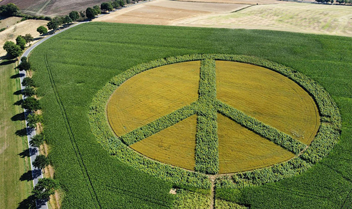 Ein auf dem Feld mithilfe von NetFarming eingearbeitetes Friedenszeichen