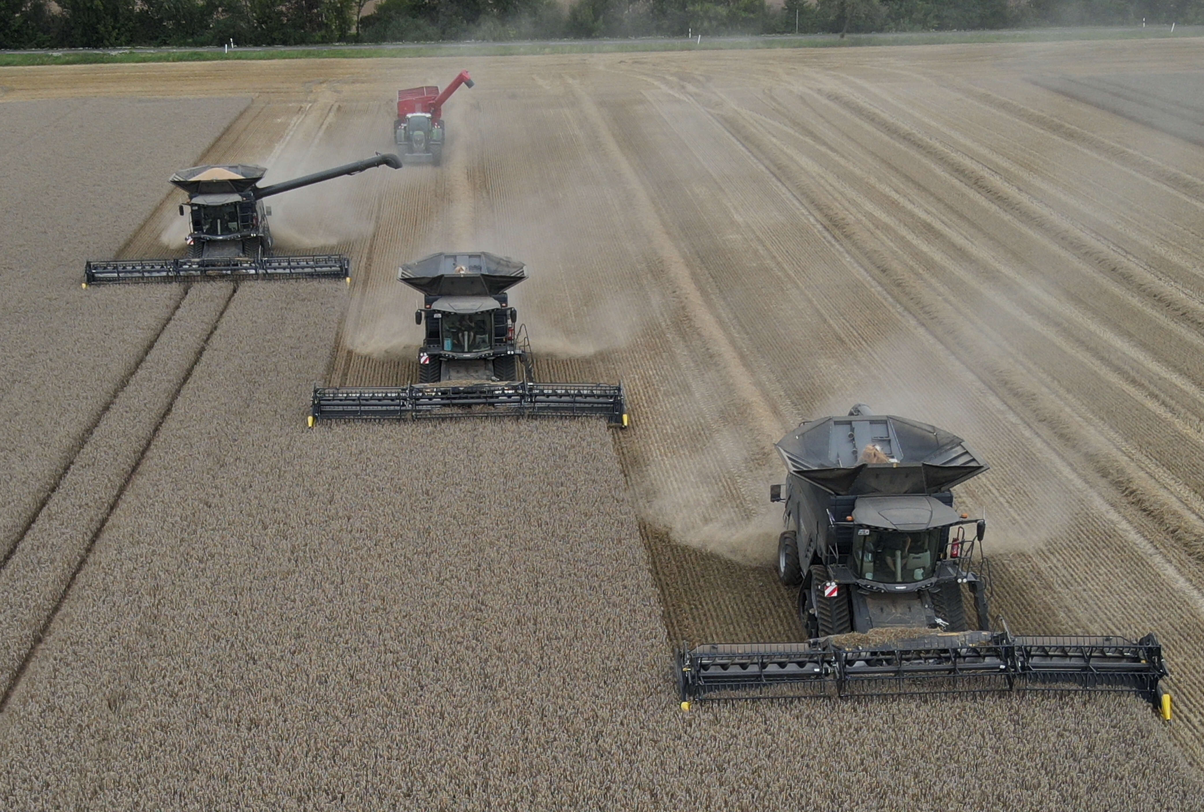 Drei schwarze Fendt Mähdrescher Ideal und ein Fendt Traktor mit Überladewagen auf Weizenfeld