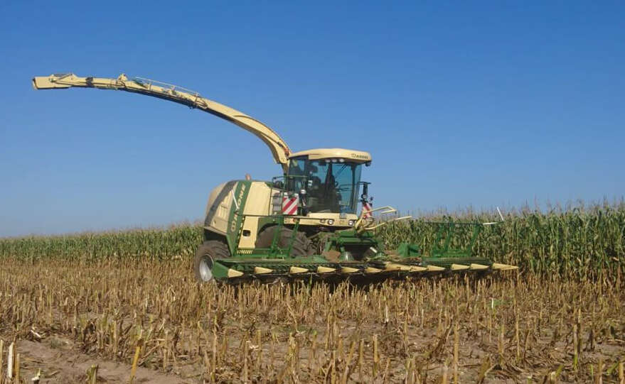 Krone- Häcksler auf einem halb geernteten Maisfeld