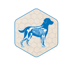 kachelicon bewegungsapparat hoeveler dog