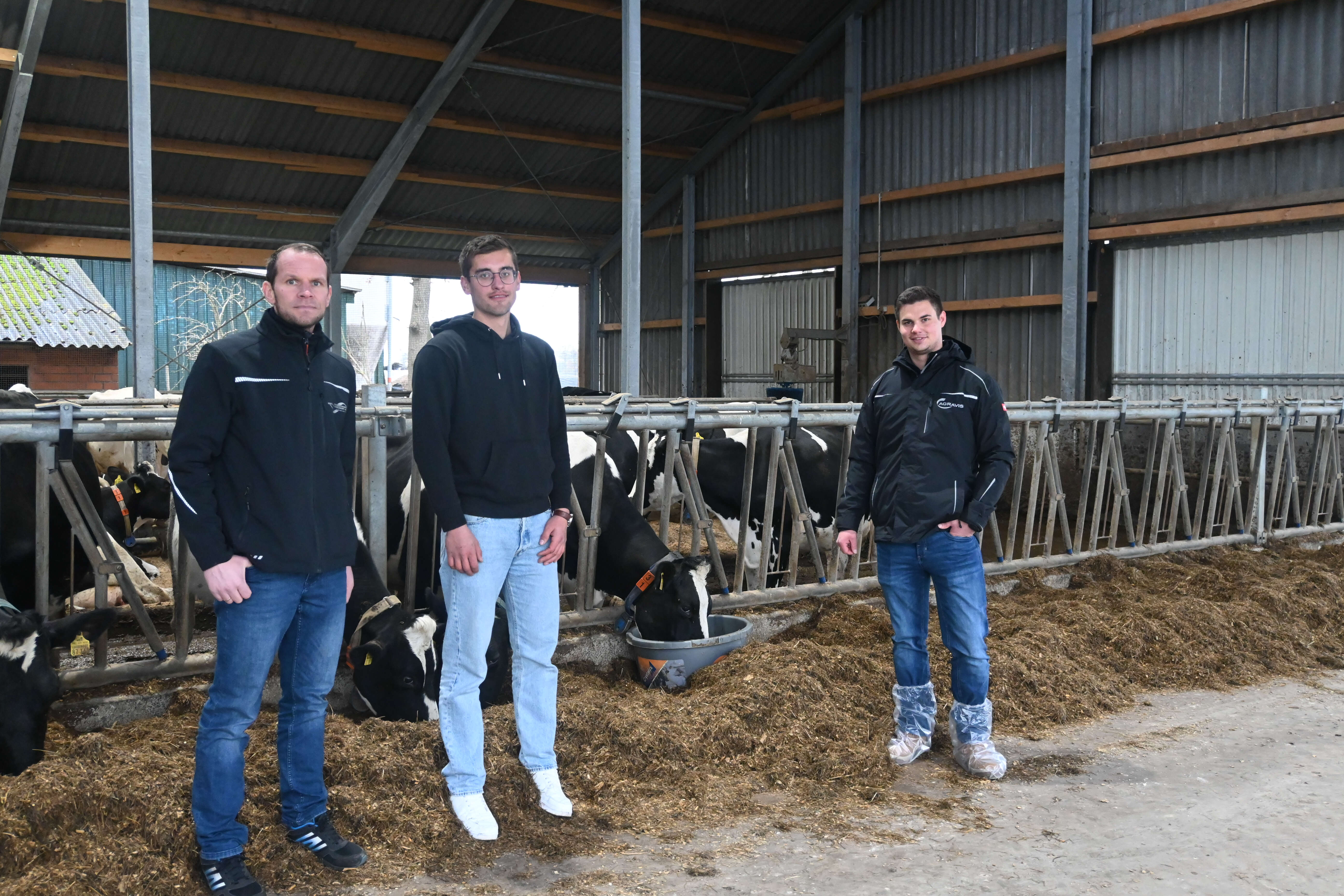 Jan Arends, Marek Schütte und Kai Brinkschmidt stehen am Futtertisch im Milchviehstall