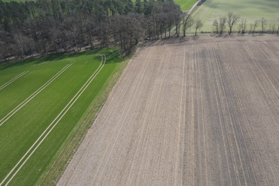 Draufsicht per Drohne von einem Feld, auf dem Pflanzenkohle ausgebracht wurde