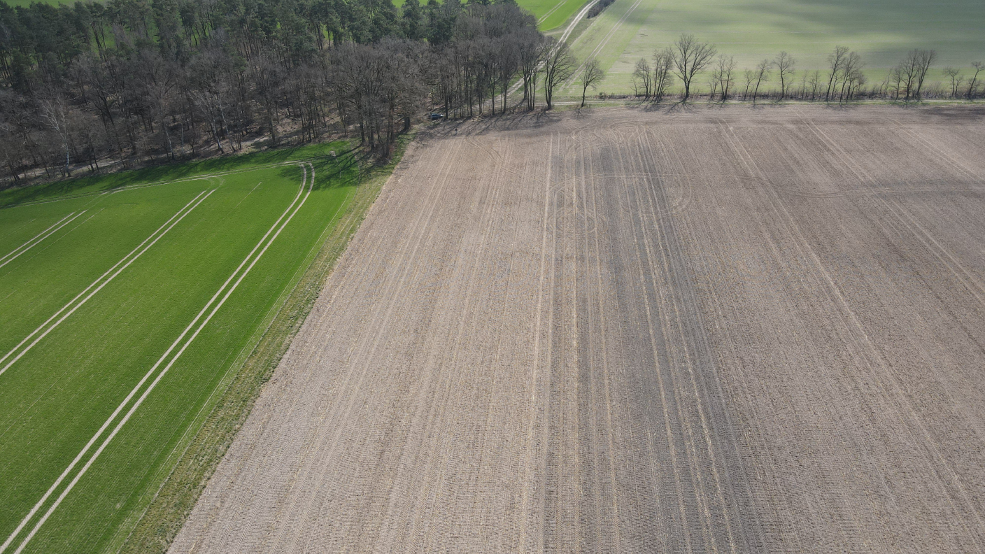 Draufsicht per Drohne von einem Feld, auf dem Pflanzenkohle ausgebracht wurde