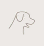 kachel hoeveler gzw hundefutter dog