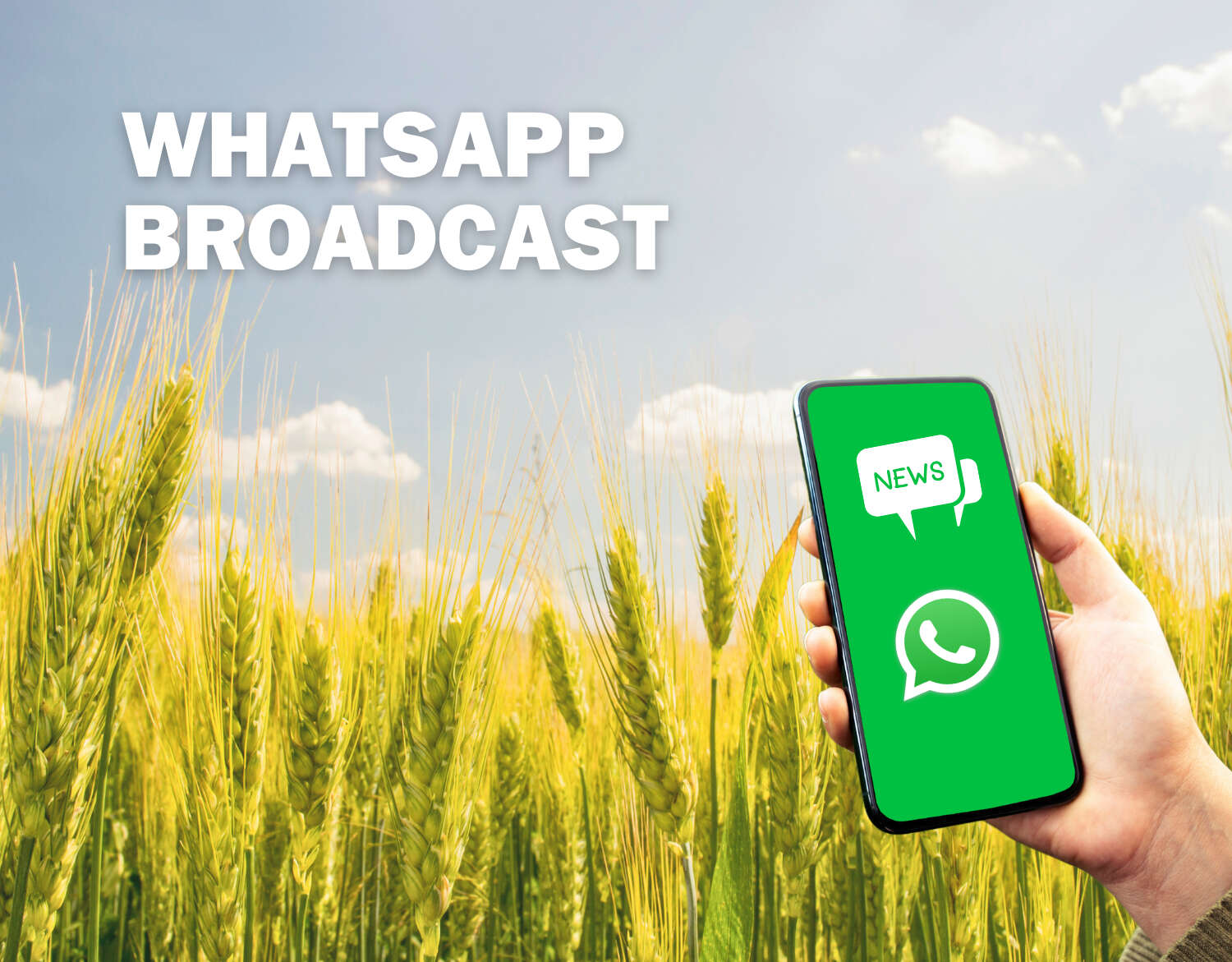 WhatsApp Broadcast Infografik ANS 2