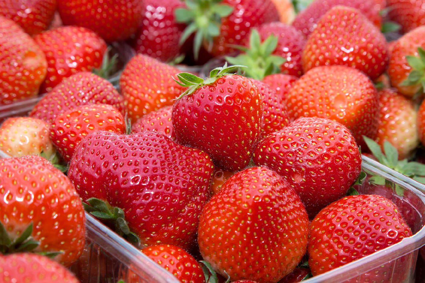 Frische, rote Erdbeeren in einer Schale