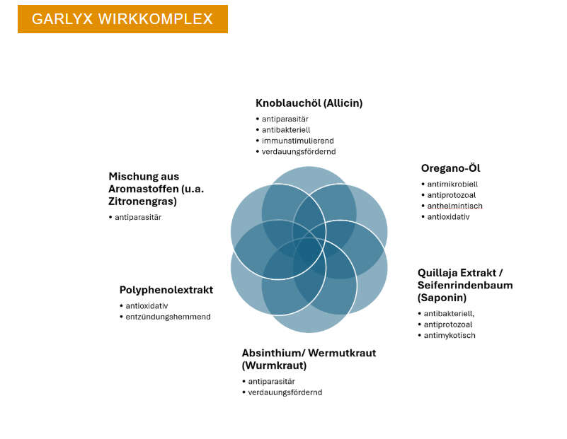Grafik zum Crystalyx Garlyx Wirkkomplex