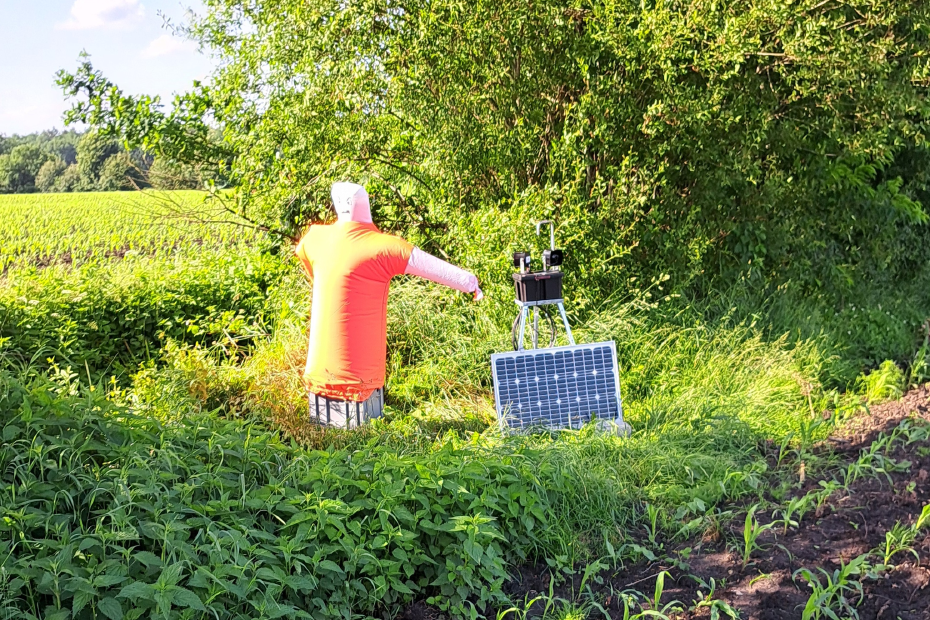 Ein Bird Alert-System steht am Feldrand.