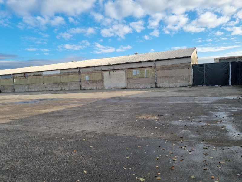 Großzügige Freifläche mit angrenzender Lagerhalle.