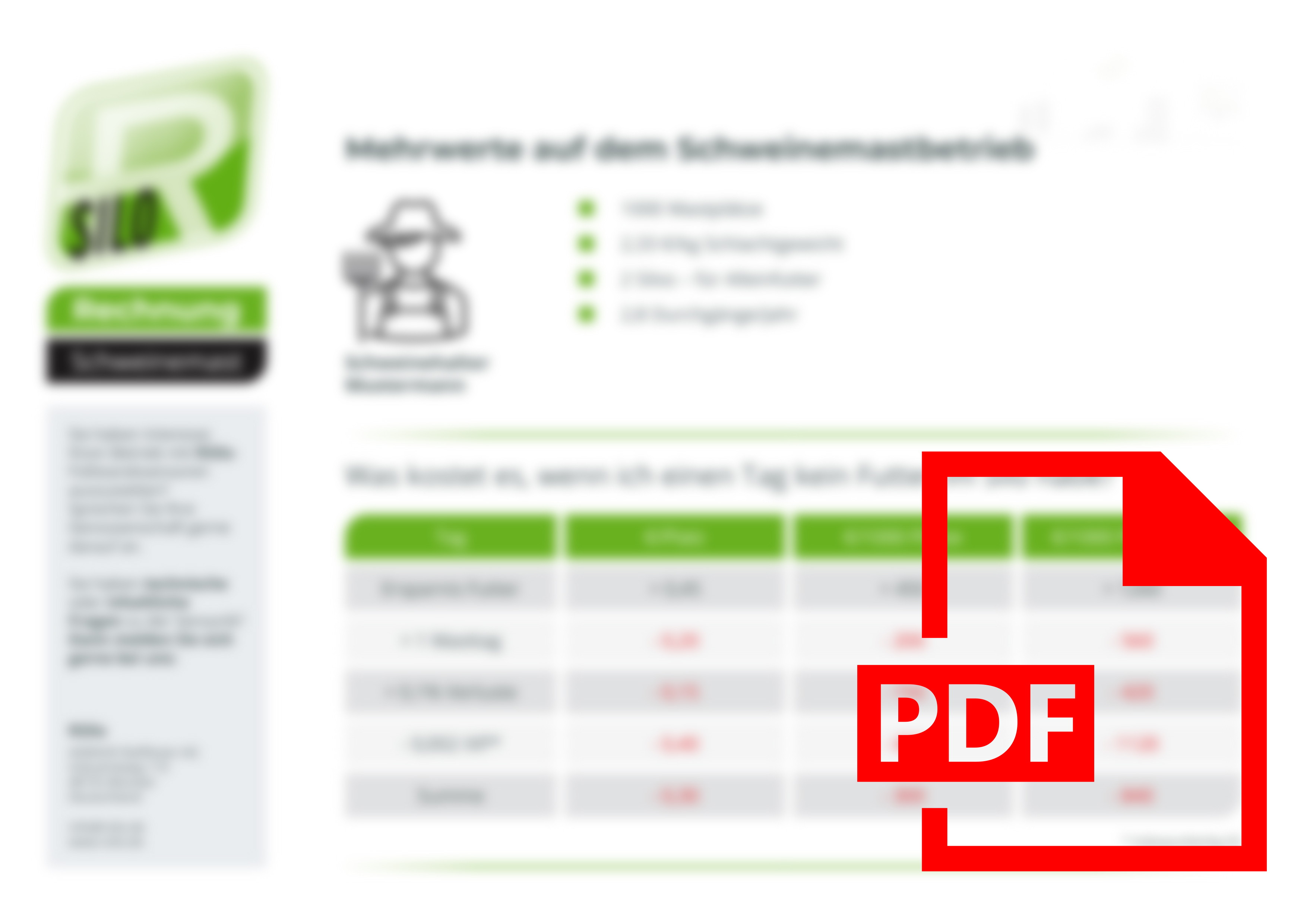 Ausschnittgrafik RSilo Rechnungsformular Schweinemastbetrieb