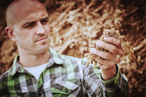 Ein Hand lässt Silage durch die Hand rieseln.