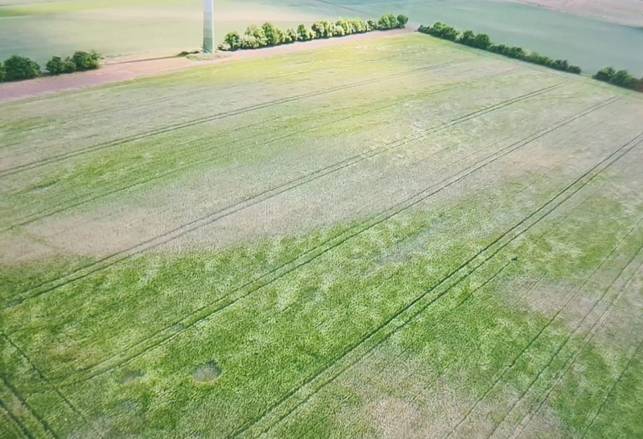 Ein Feld mit Trockenschäden aus der Vogelperspektive