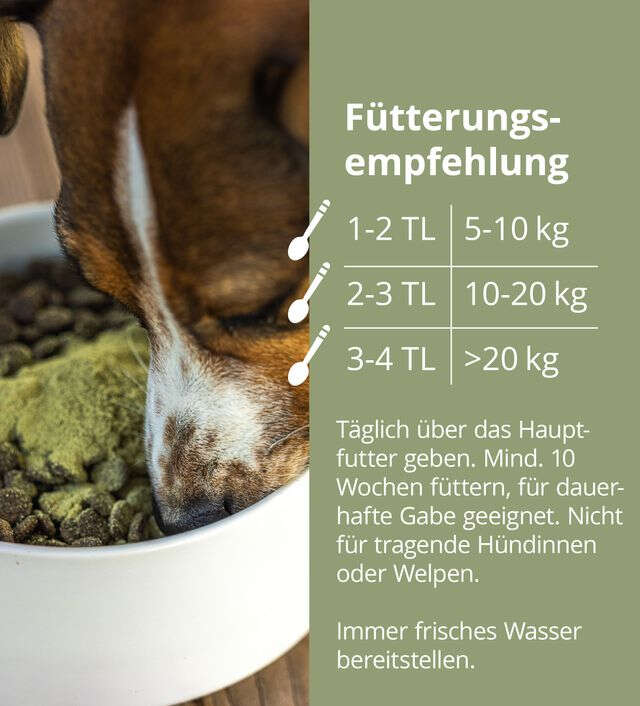 Hveler DOG DARM PLUS | Hveler