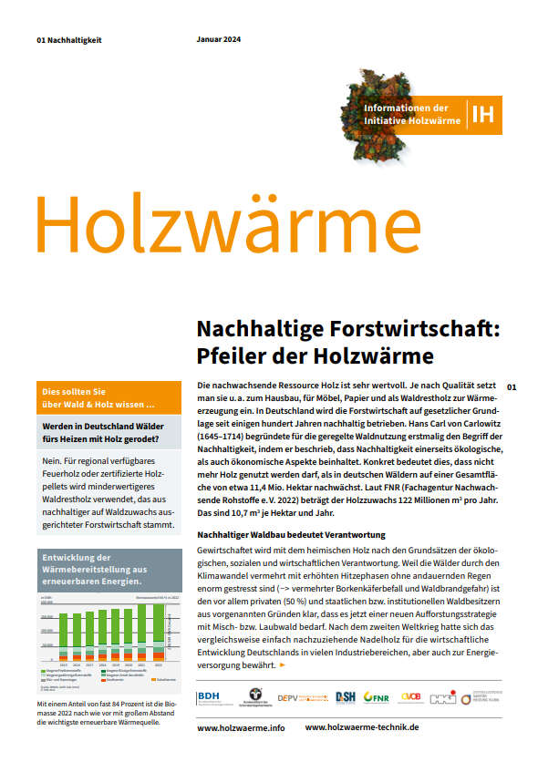 Factsheet zum Thema Holzwärme