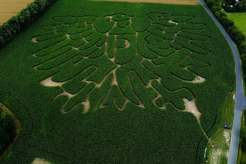 Maislabyrinth mit Preußen-Adler von oben