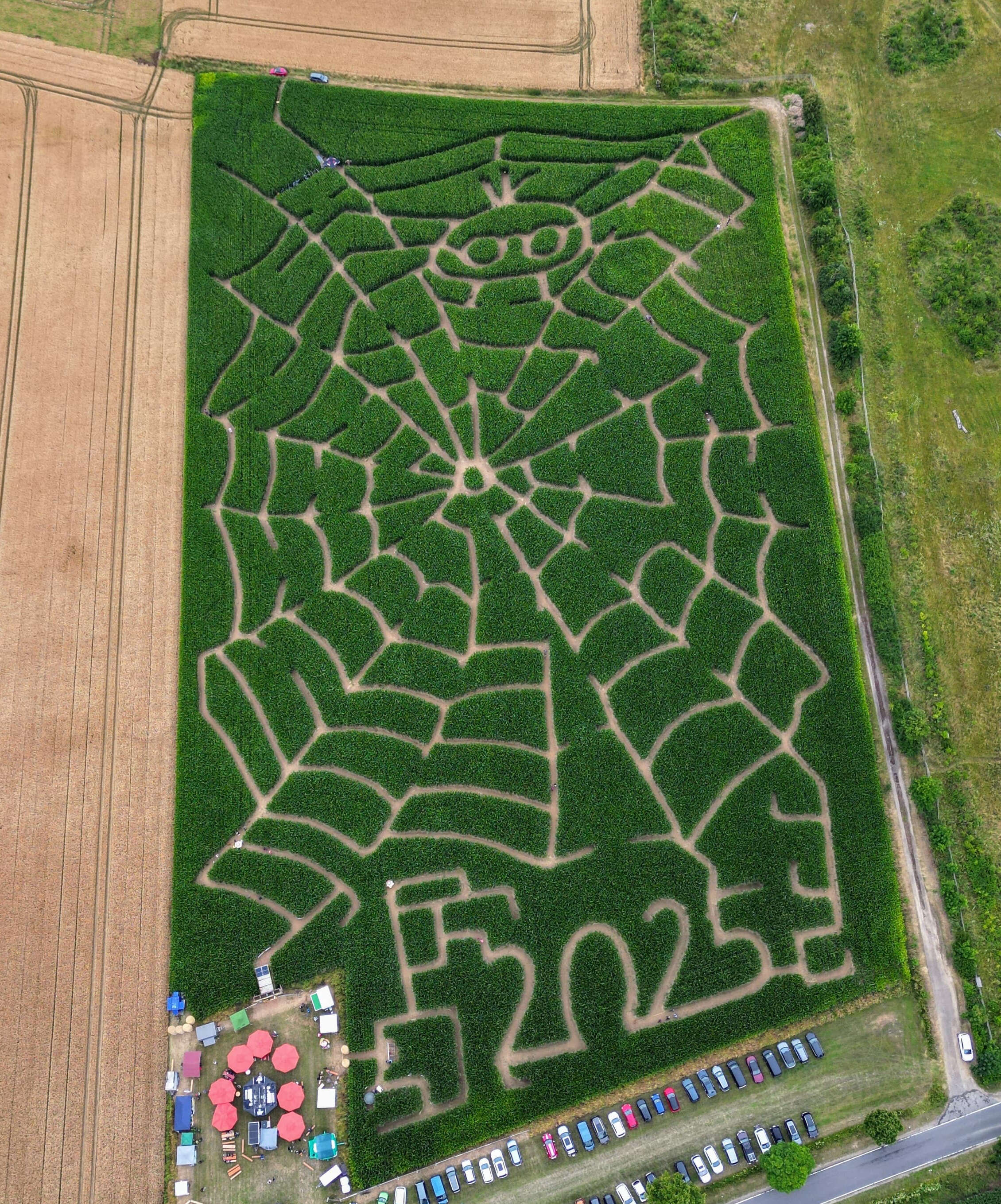 Luftaufnahme eines Maislabyrinth in Form einer Spinne