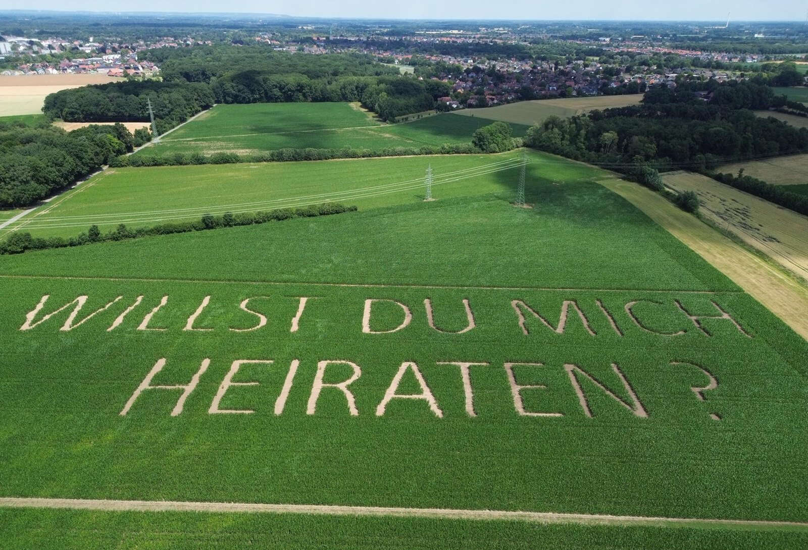 Luftaufnahme eines Maisfeld mit Heiratsantrag des Landwirts Theo Geiping