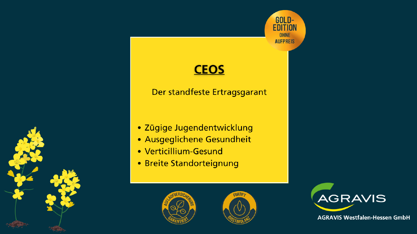 Saatraps Ceos - AWH Sortenempfehlung Raps 2025