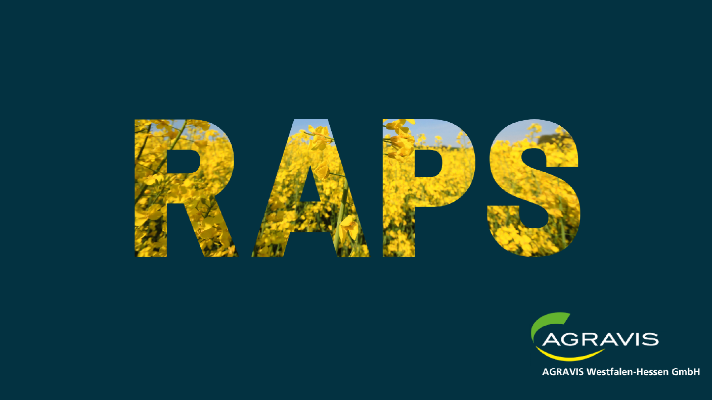 AWH Sortenempfehlung Raps 2025