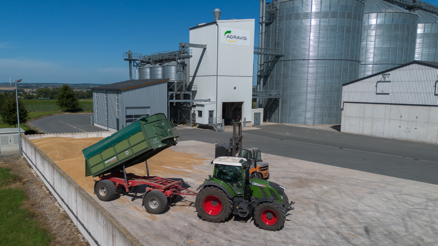Getreide wird vom Anhänger gekippt