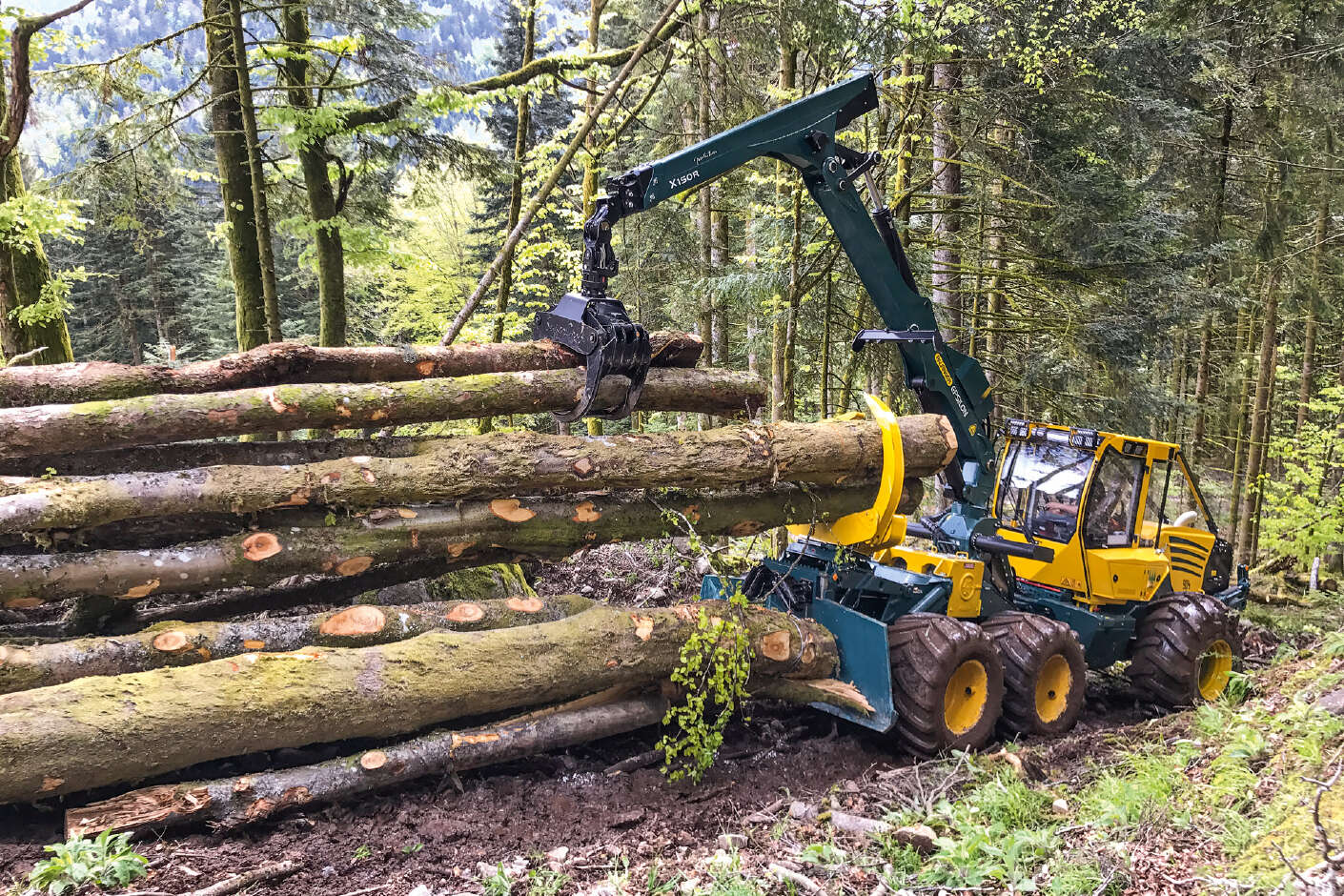 HSM Forstmaschine stapelt Baumstämme im Wald