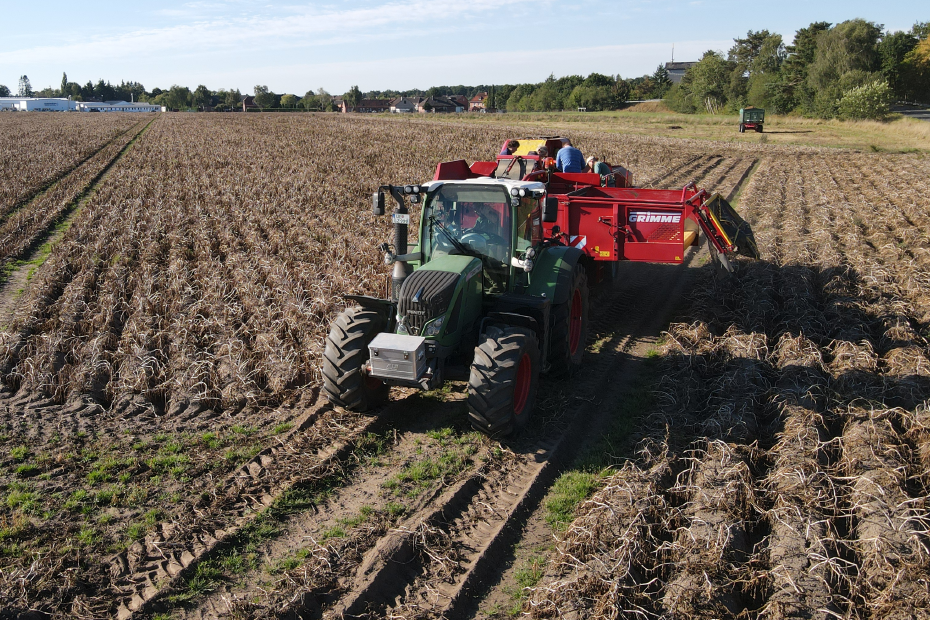 Schlepper bei der Kartoffelernte auf dem Feld
