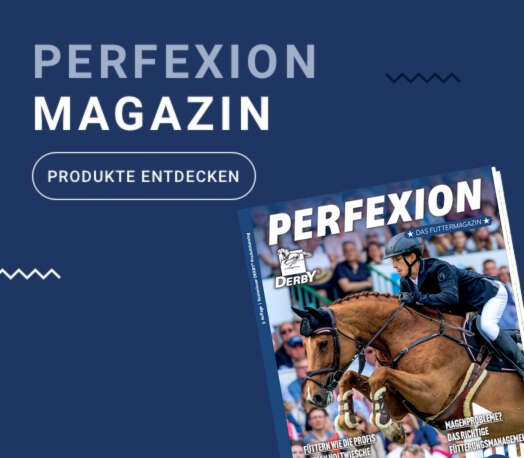 DER Megabanner Perfexion