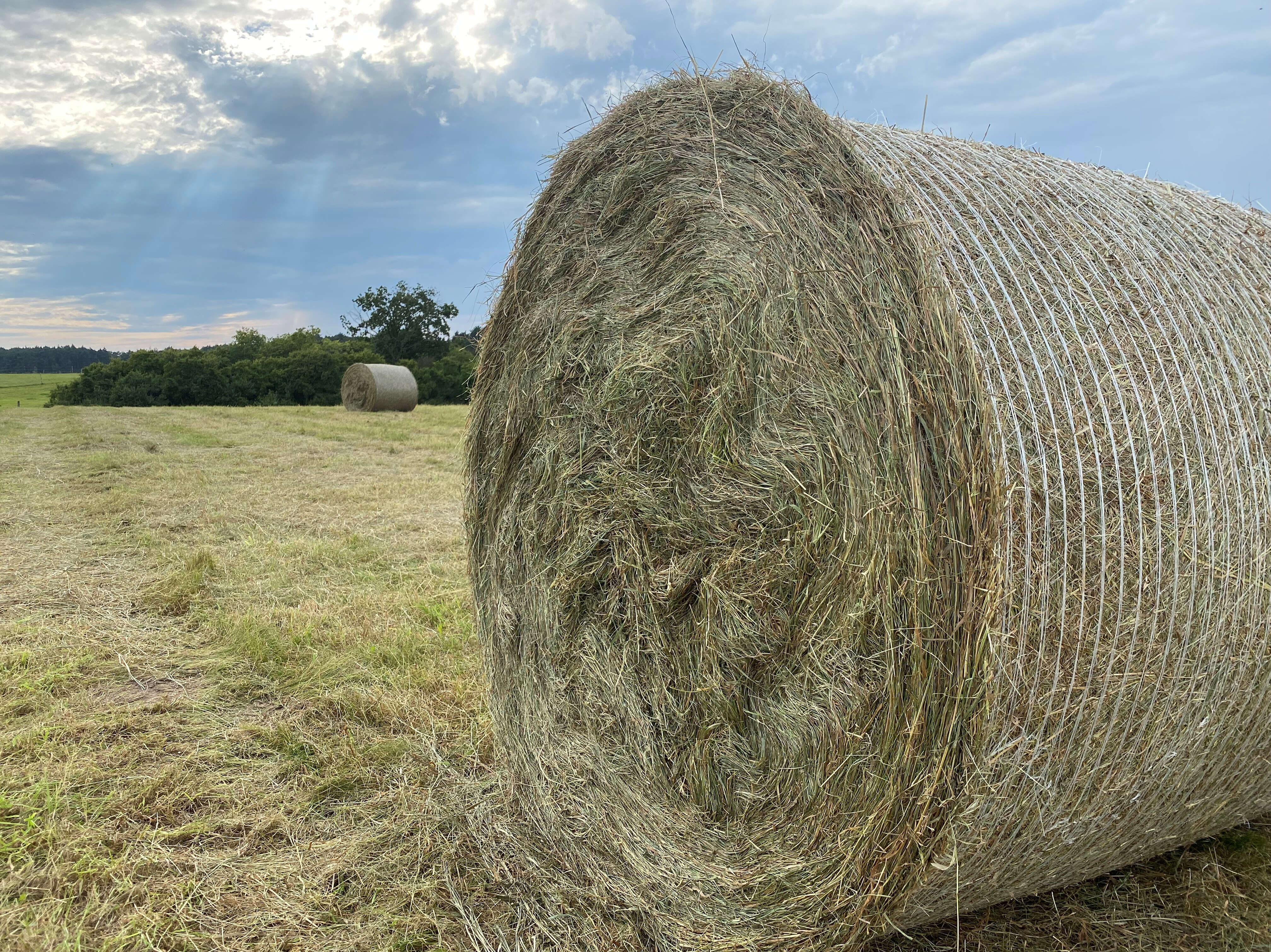 Heuballen auf Feld