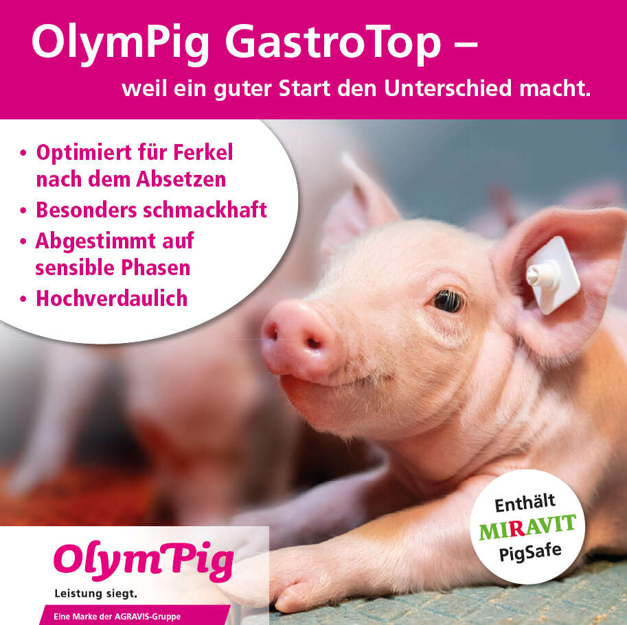 Eine Werbeanzeige für das Ferkelfuttermittel OlymPig GastroTop