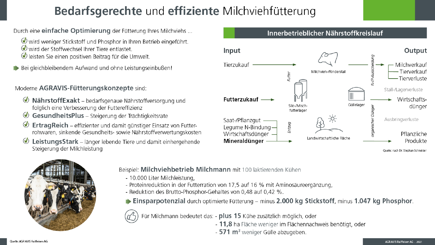 Infografik bedarfsgerechte Milchviehfütterung