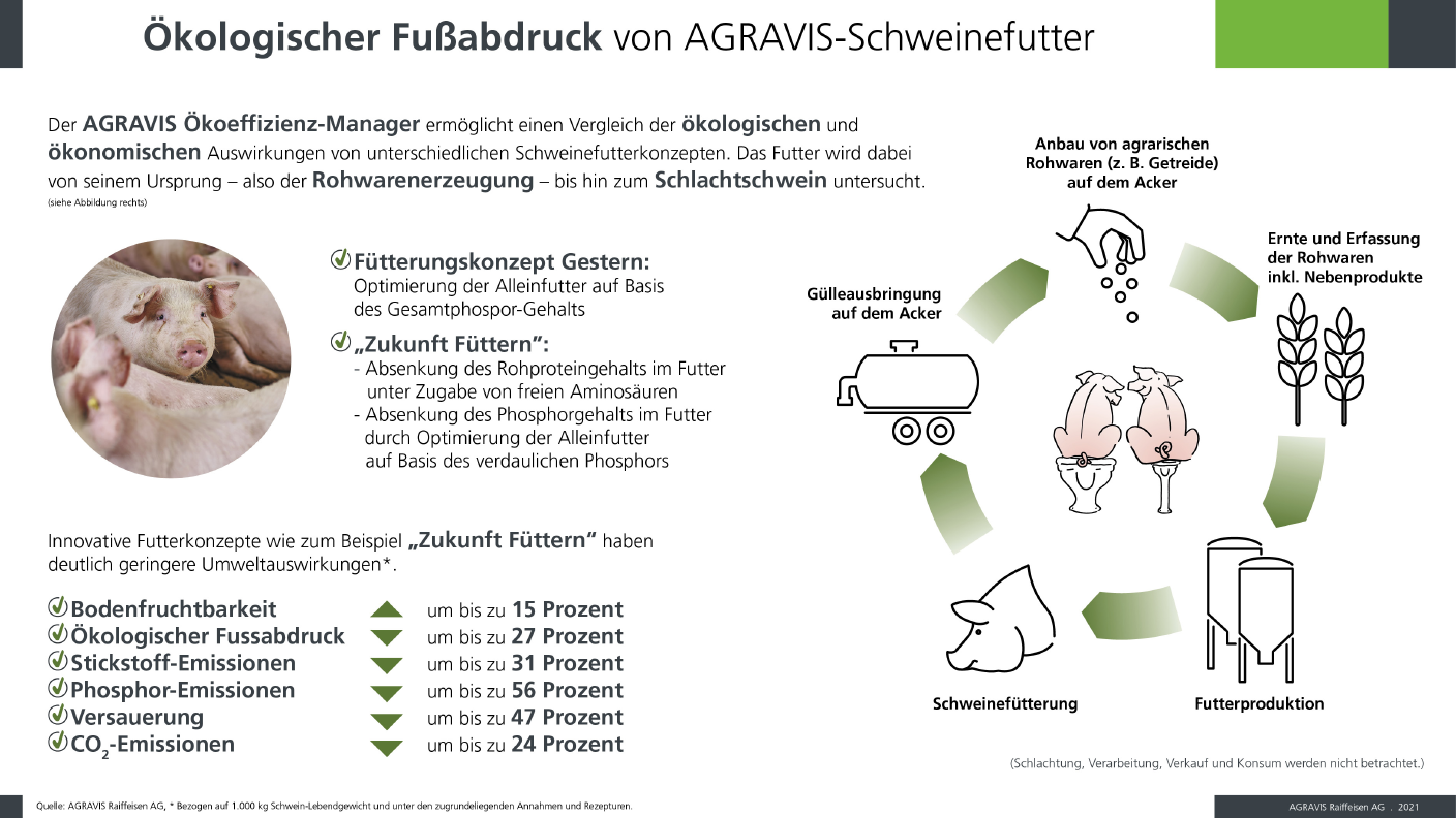 Infografik Ökoeffizienz Schweinefutter