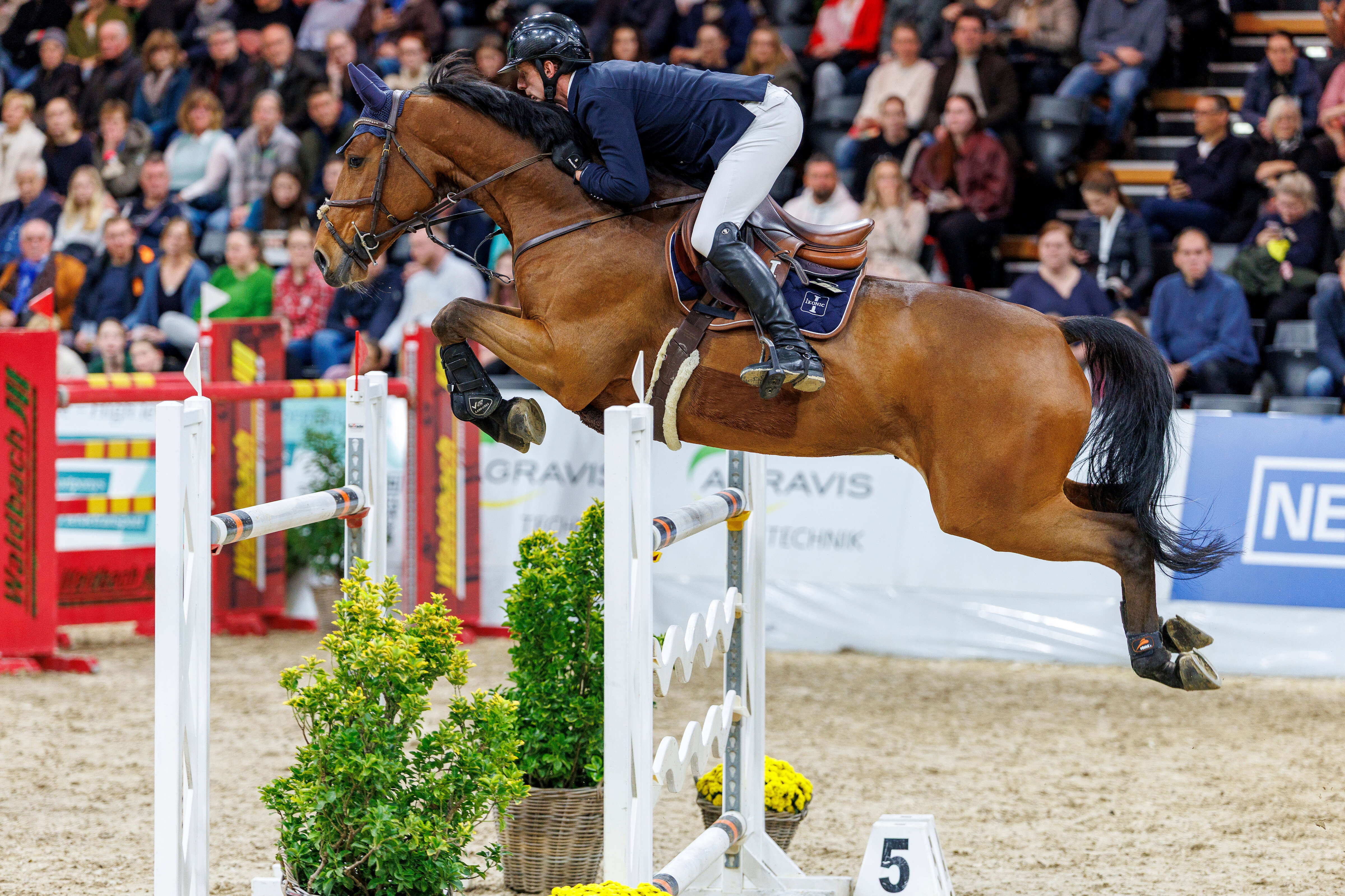 Felix Hassmann auf Mon Genuartt bei Qualifikation zum großen Preis